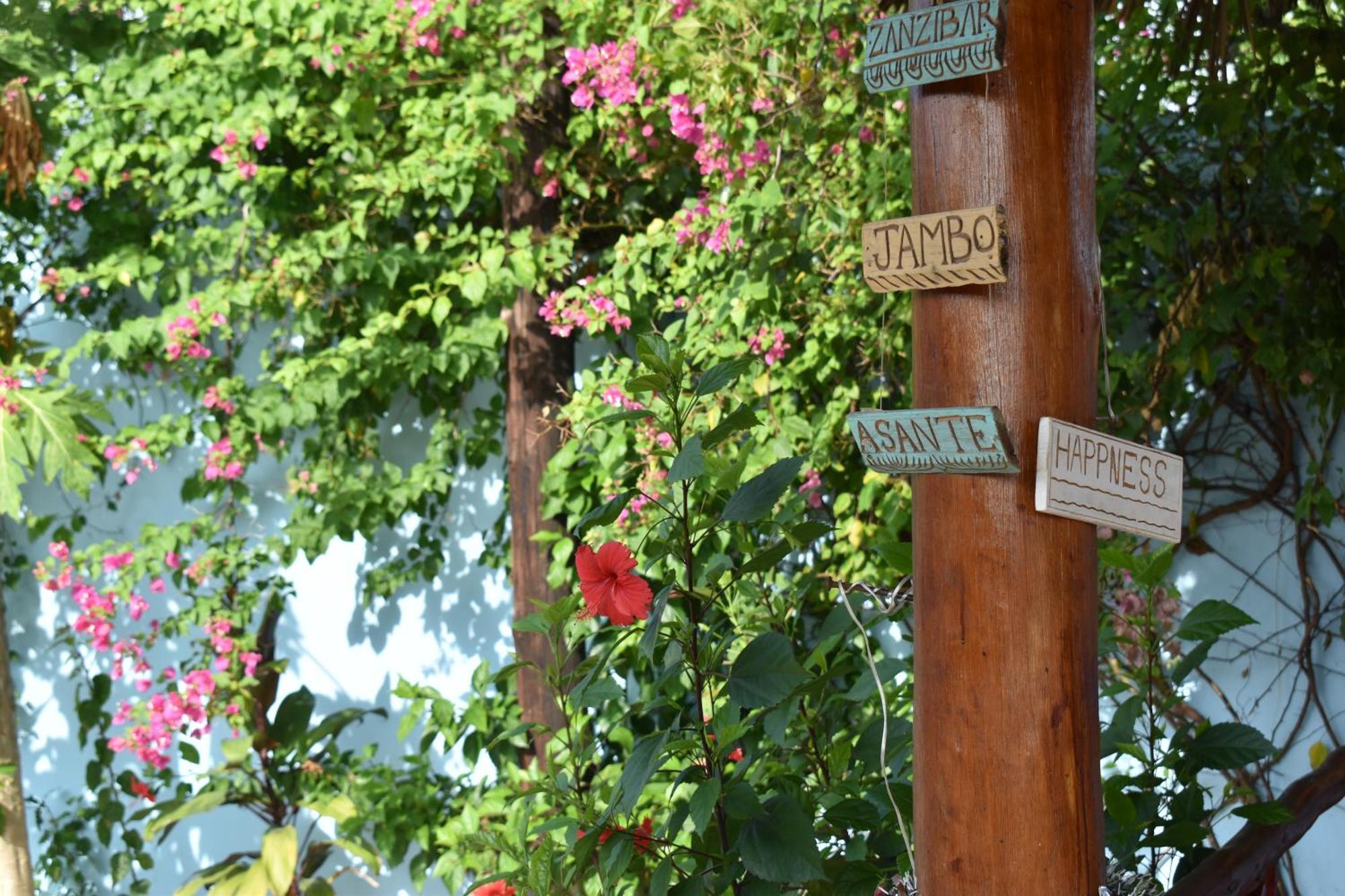 Pineapple House Bed and Breakfast Nungwi Buitenkant foto
