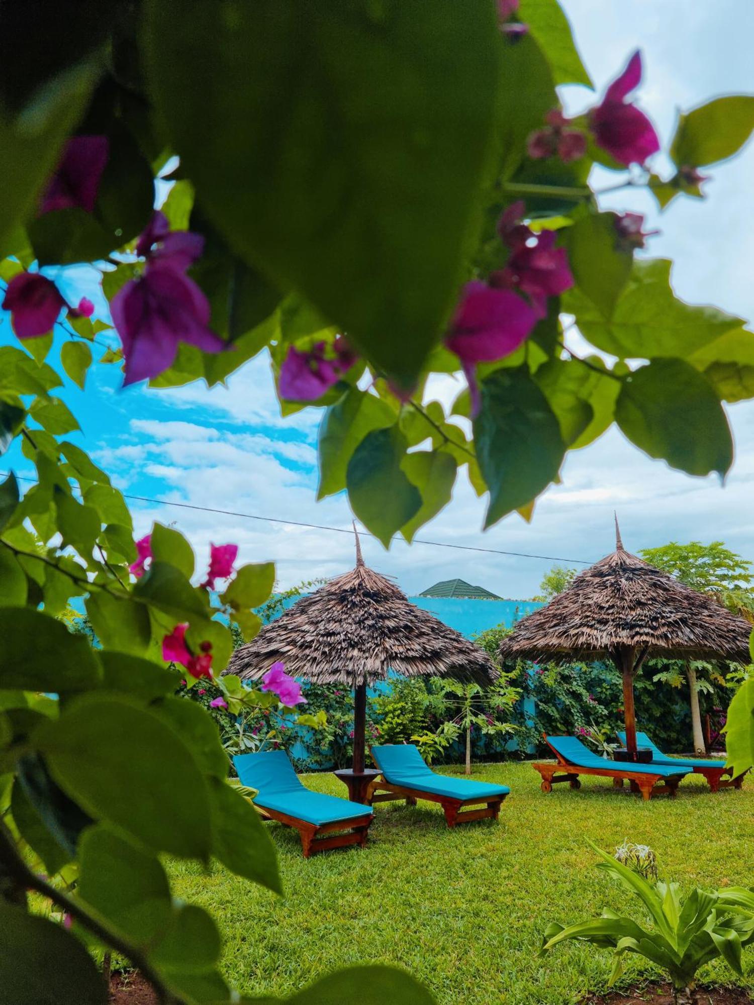 Pineapple House Bed and Breakfast Nungwi Buitenkant foto